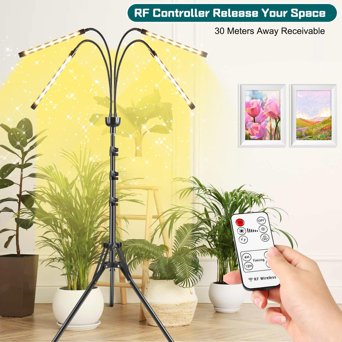 Yentbokj light with inline and RF remote controls and timers