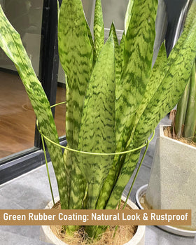 YEOAUM mint-green finish blends with foliage while supporting growth