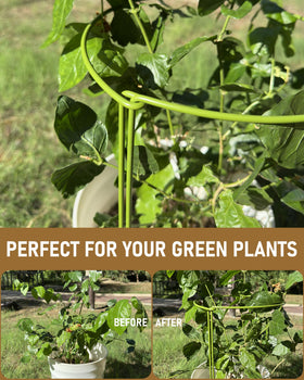 YEOAUM rubber-coated stakes protect stems during installation and growth.