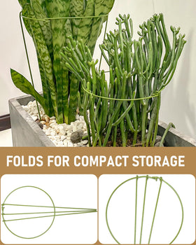 YEOAUM rubber sleeves protect monstera roots and delicate stems during setup