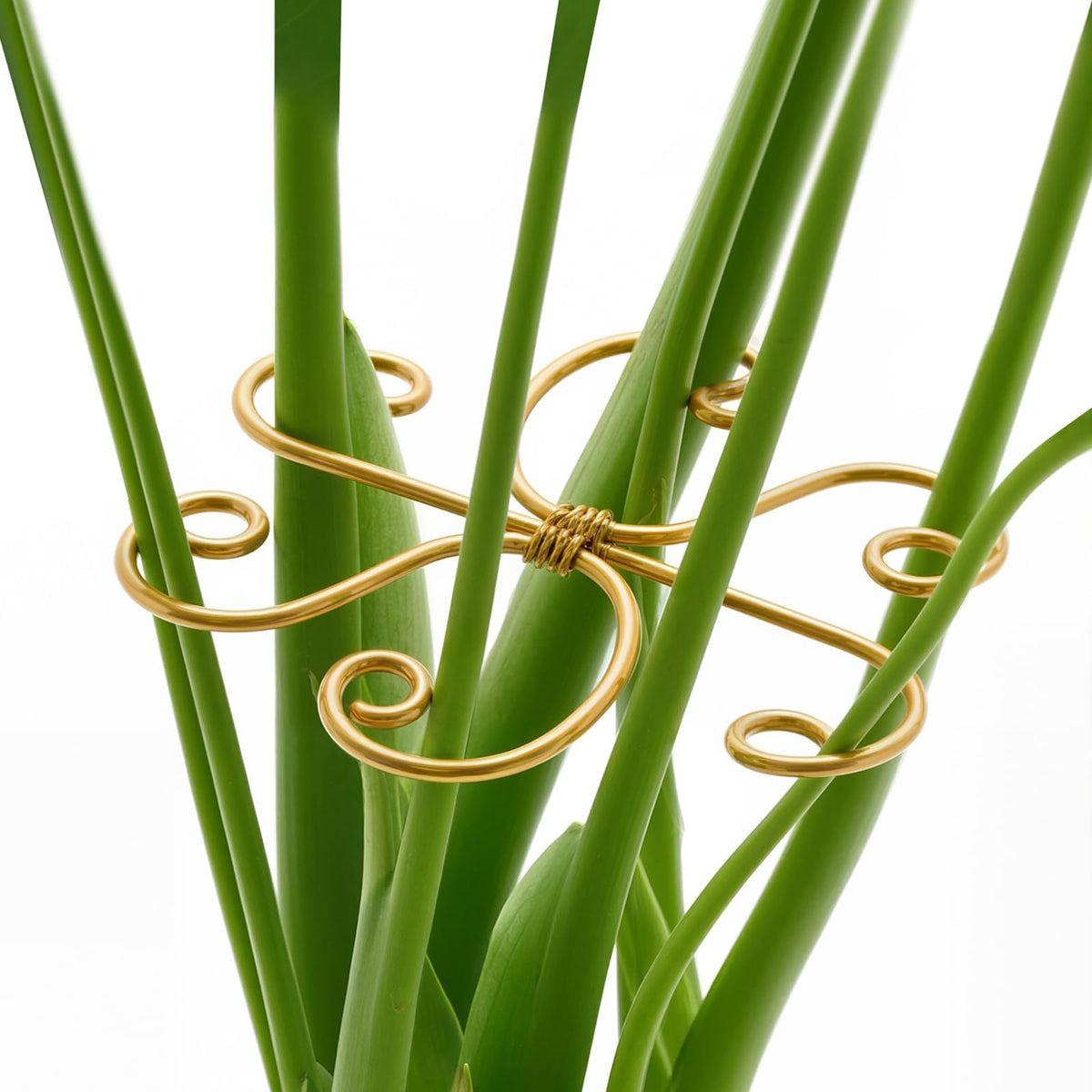 Yeomant Monstera support stakes assembly showing sturdy metal frame for upright growth