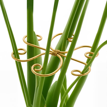 Yeomant Monstera support stakes assembly showing sturdy metal frame for upright growth