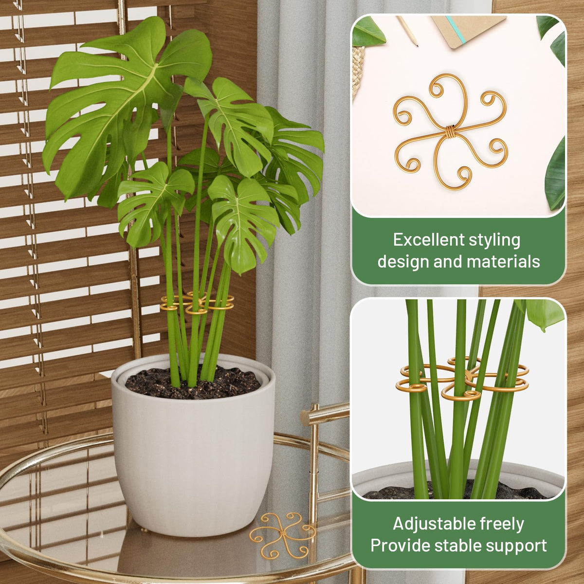 Yeomant stable plant support in action keeps Monstera upright