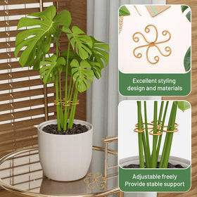 Yeomant stable plant support in action keeps Monstera upright