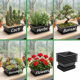 Yesland commercial gardeners' choice for durable bonsai pots