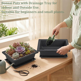 Yesland 24-pack bonsai pots set for large-scale projects