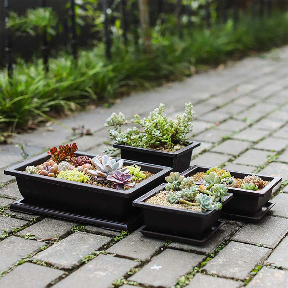 Yesland deep brown bonsai pot suited for succulents and seeds