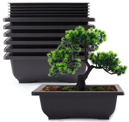 Yesland 6-pack bonsai pots with 9-inch deep trays support healthy root growth.