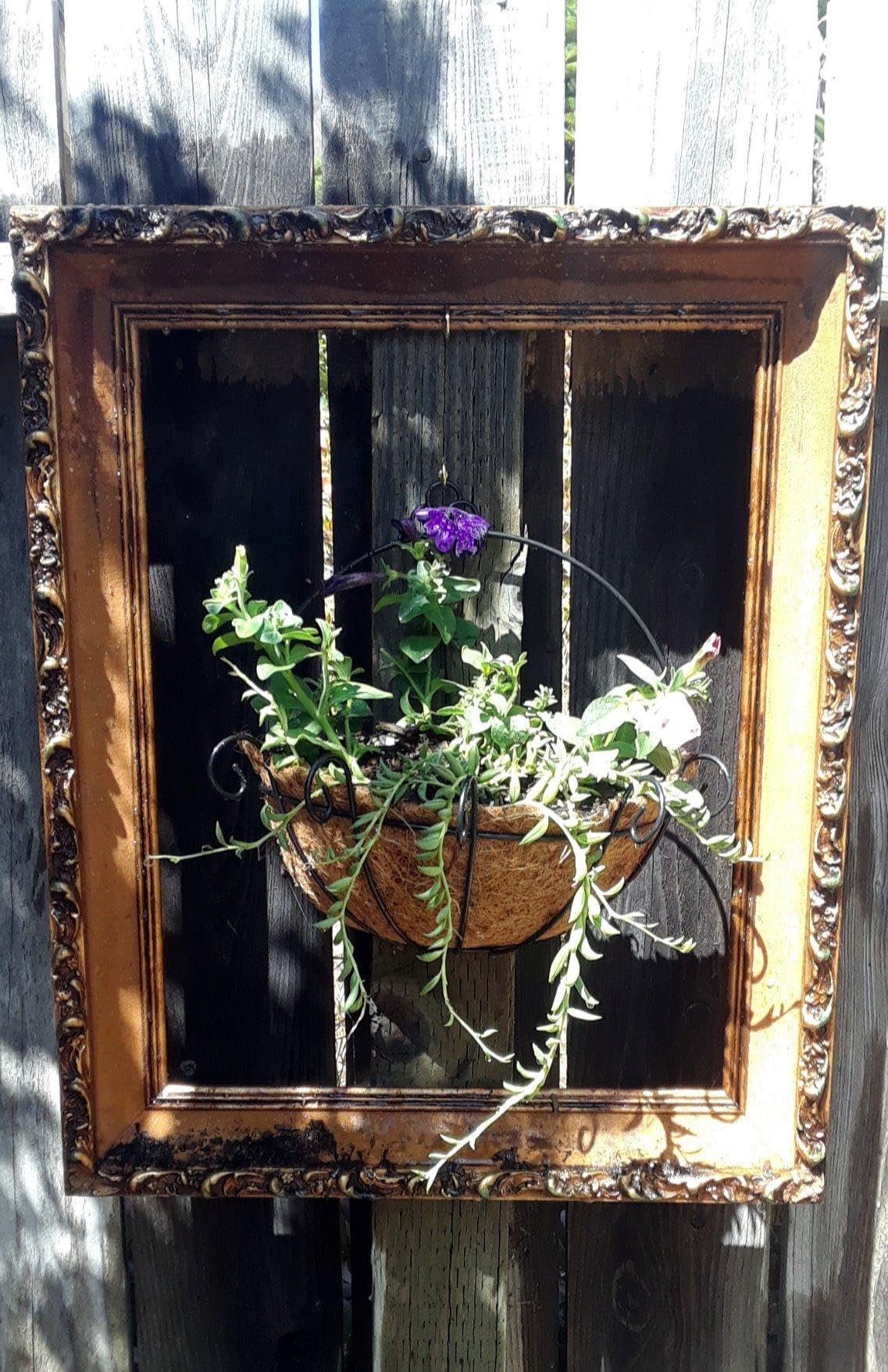 YGbridge kitchen produce basket style planter hanging for extra counter space.
