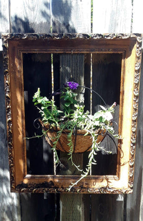 YGbridge kitchen produce basket style planter hanging for extra counter space.