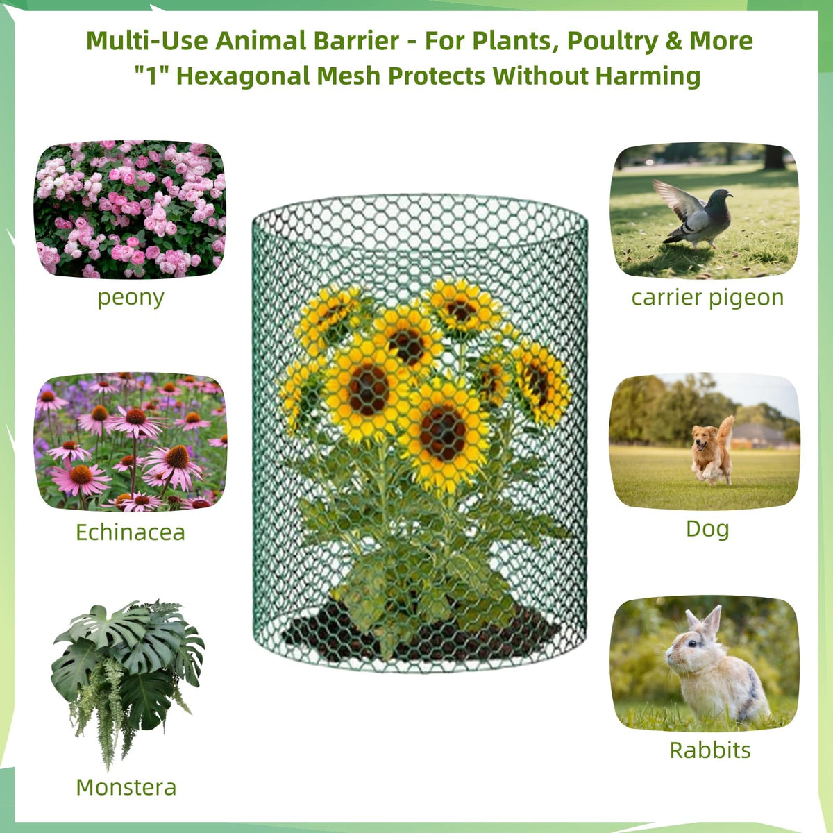 YGGlDUOl chicken-wire panel edges curved showing flexible edging for curved beds