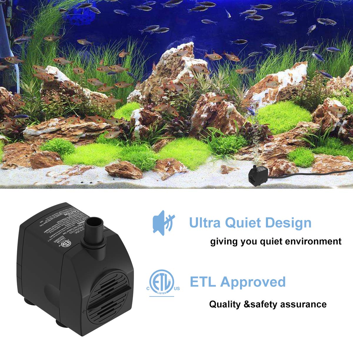 Versatile use in aquariums, fountains, hydroponics, ponds, and statuary setups.