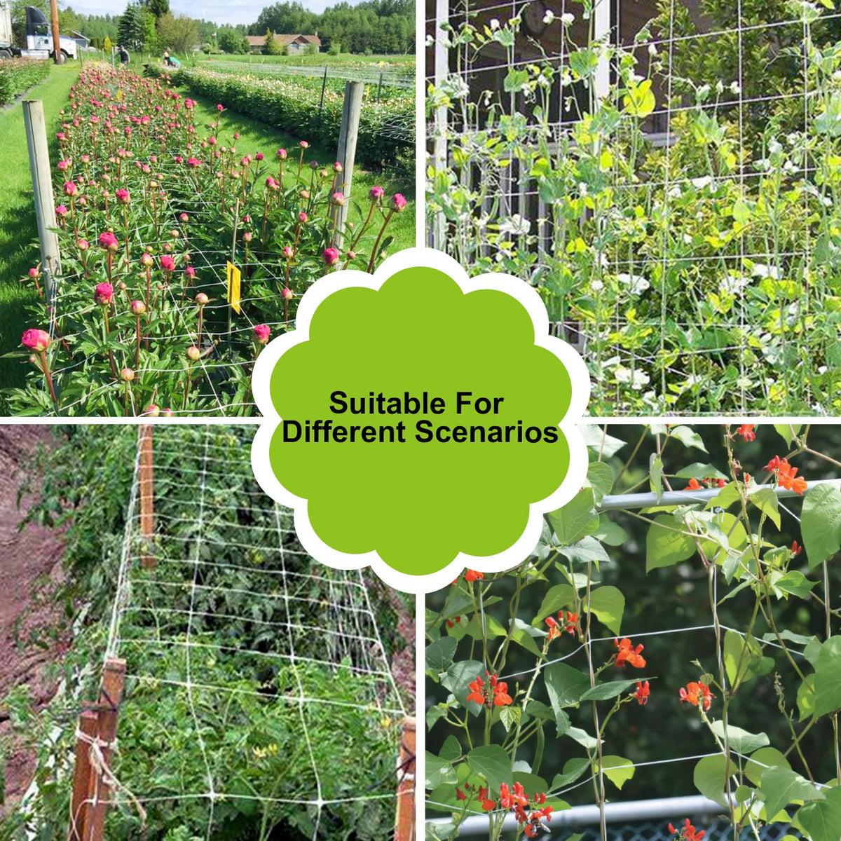 YHmall heavy-duty netting resists wear for years of garden use.