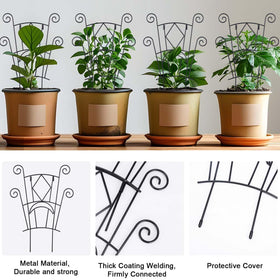 Yhtpouqe decorative plant support stakes enhancing vine display