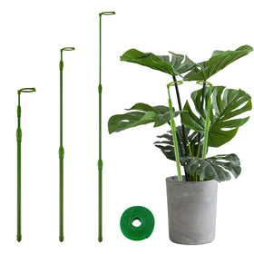 Yhtpouqe extendable stake demonstrates adjustable height for tall indoor plants