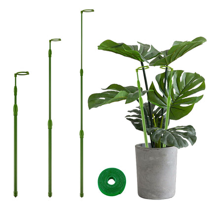 Yhtpouqe extendable stake demonstrates adjustable height for tall indoor plants