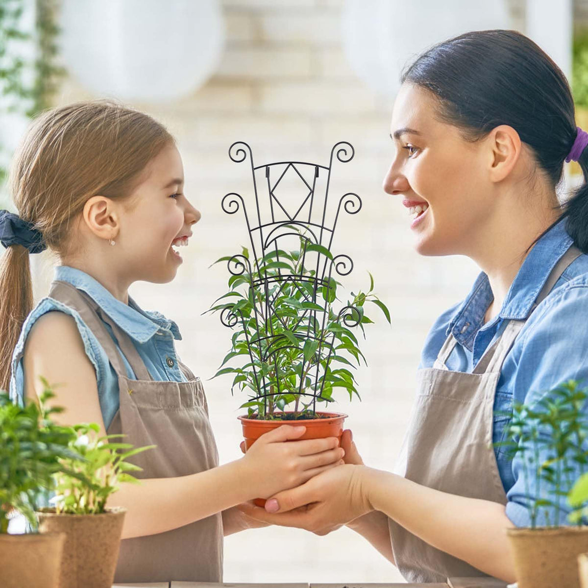 Yhtpouqe gift-ready plant support pack ideal for gardeners
