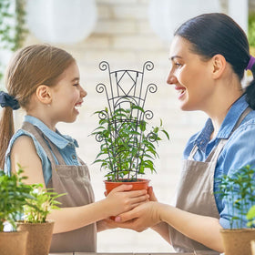 Yhtpouqe gift-ready plant support pack ideal for gardeners