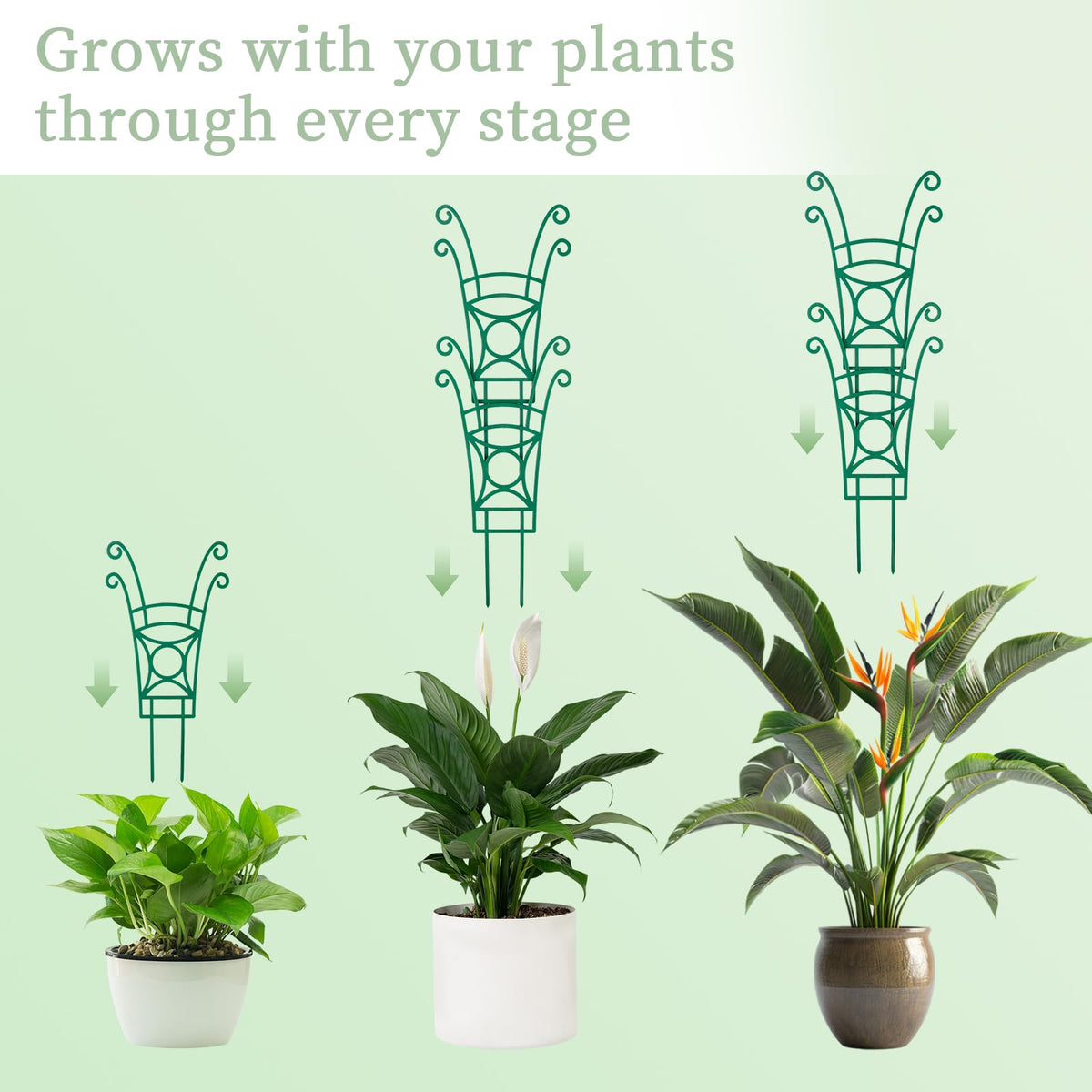 Yhtpouqe green plastic trellis blends with indoor and outdoor plants.