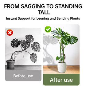 Yhtpouqe plant-stake with smooth surface reduces damage to stems