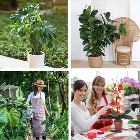 Yhtpouqe indoor-outdoor plant support kit installs without tools.