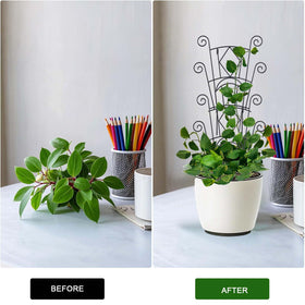 Yhtpouqe indoor plant trellis supporting monstera and other vines upright