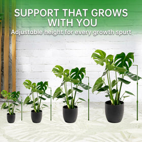 Yhtpouqe indoor-outdoor stake protects delicate stems during growth