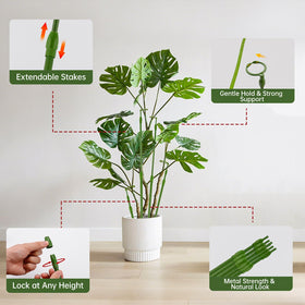 Yhtpouqe monstera-support stake keeps climbing leaves upright