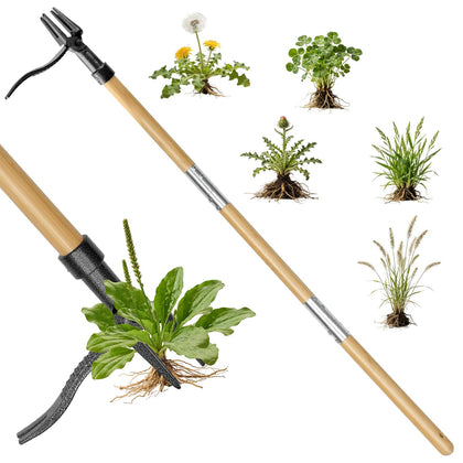YIAD DRAGON HORSE stand-up weed puller in action for easy lawn care