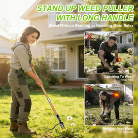 YIAD DRAGON HORSE ideal for lawns, flower beds, driveways, and patios