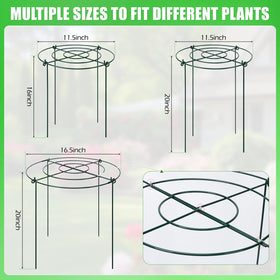 YIBOBO circular plant support surrounds plant from all sides