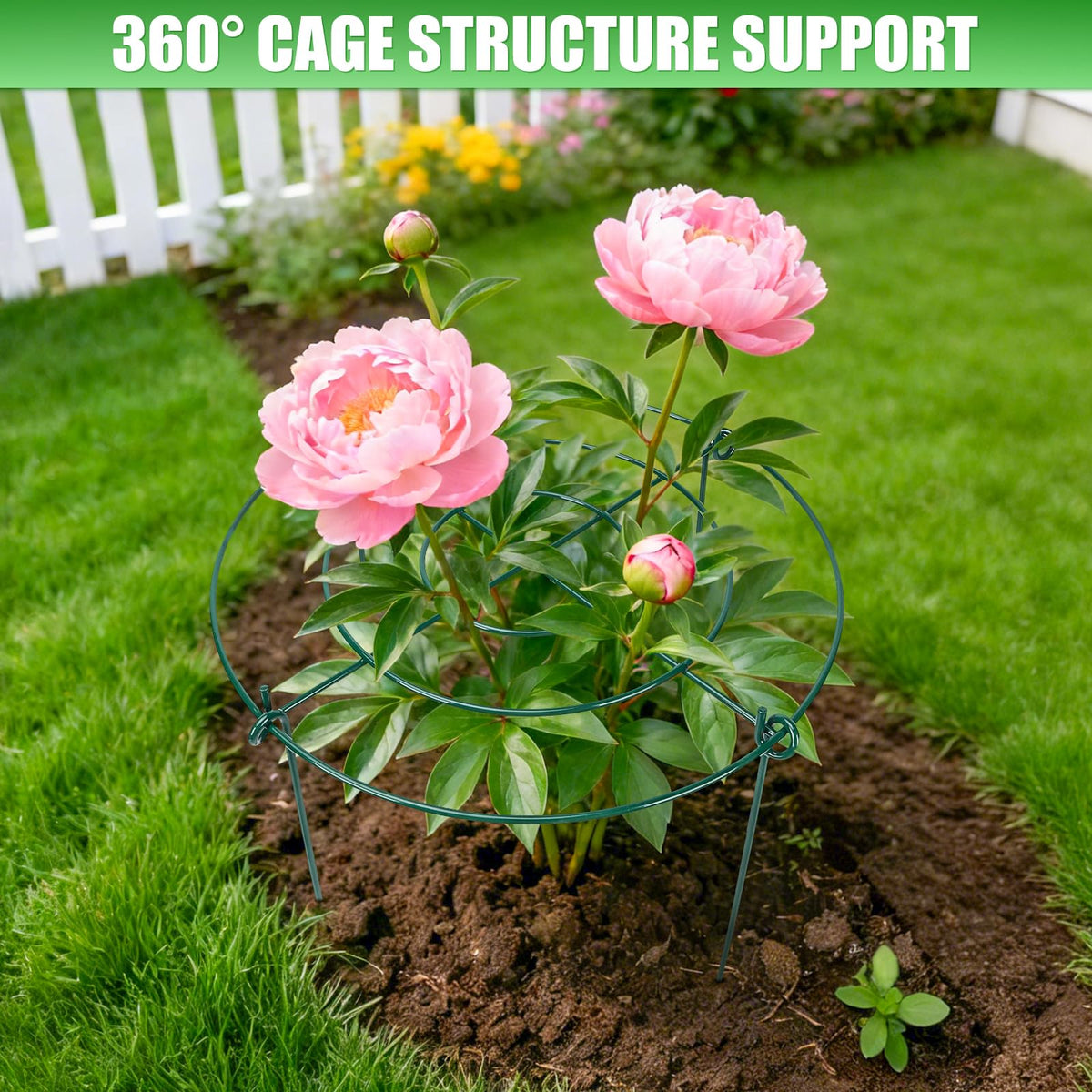 YIBOBO tomato stake supports heavy fruit while keeping vines tidy