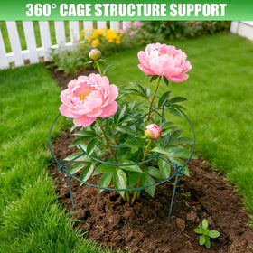 YIBOBO tomato stake supports heavy fruit while keeping vines tidy