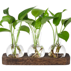 YIBOT propagation stations on a wooden tray for a stylish desk plant display.