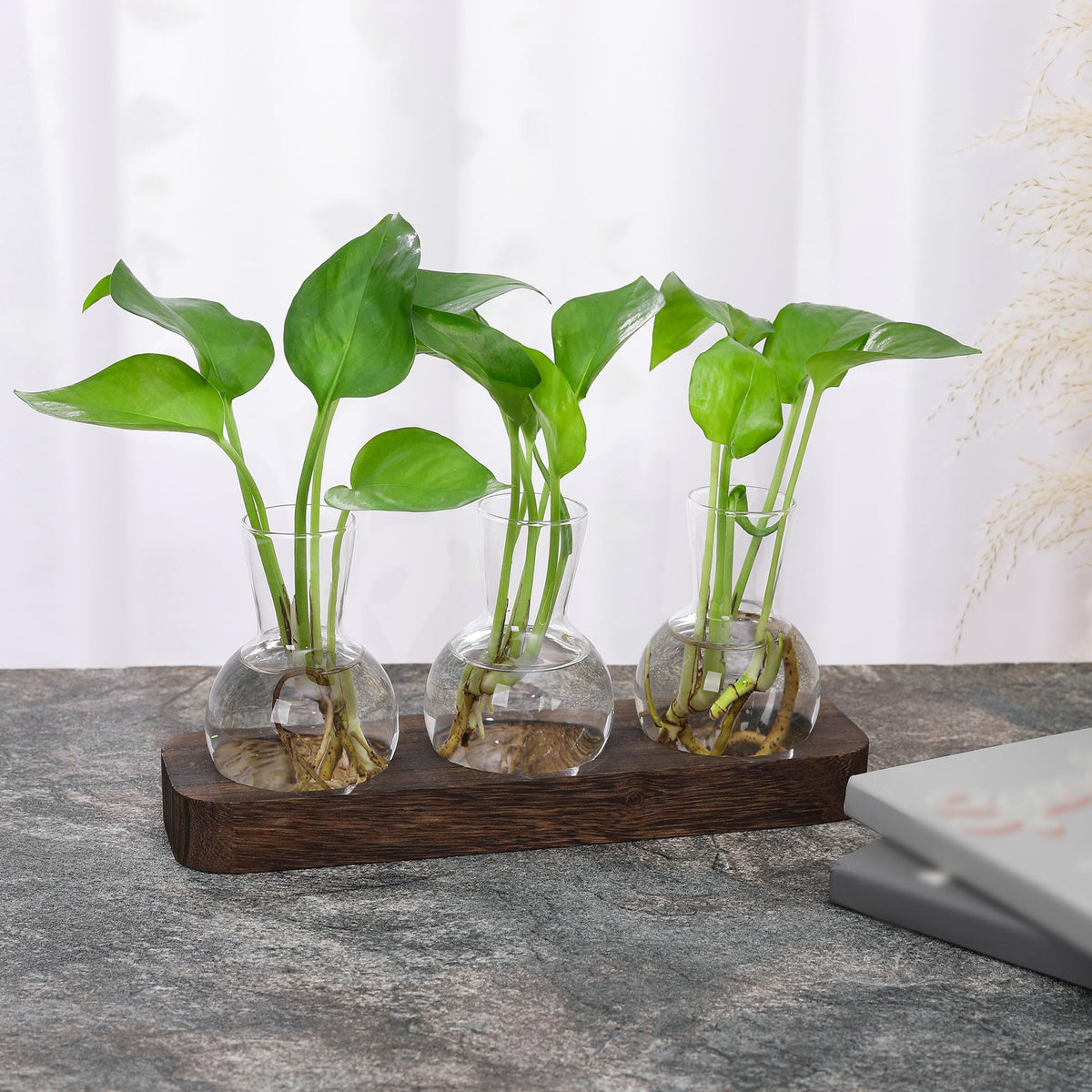 Set on window sill as home office decor enhances ambiance with plants.