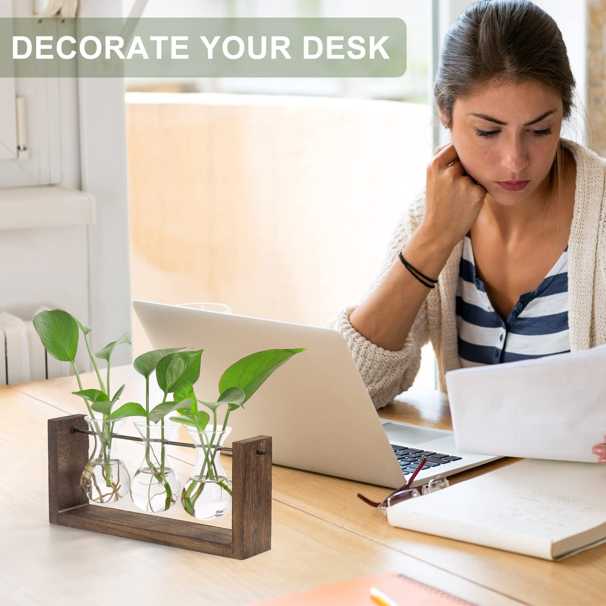 YIBOT gift-ready packaging showcases a chic plant display.
