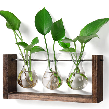 YIBOT wall hanging planter glass vase closeup for hydroponics on desks.
