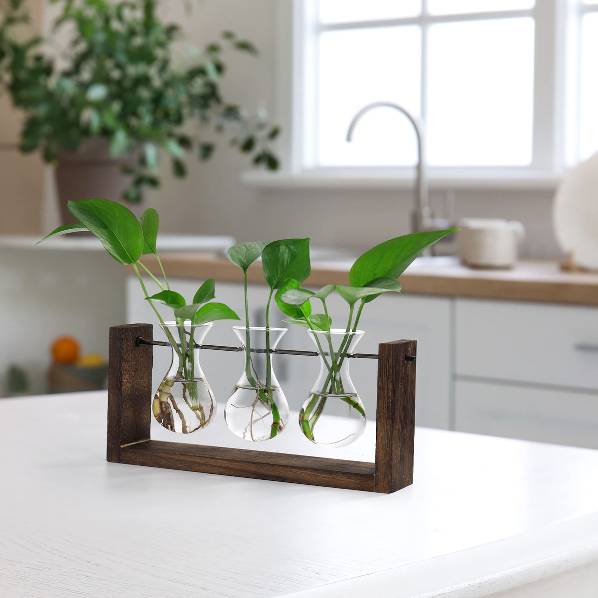 YIBOT glass vase display ideas for flexible decor.