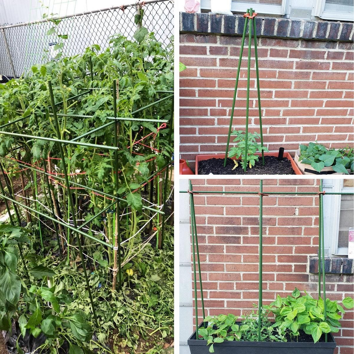 YIDIE pack of 50 metal stakes expands garden support options affordably.