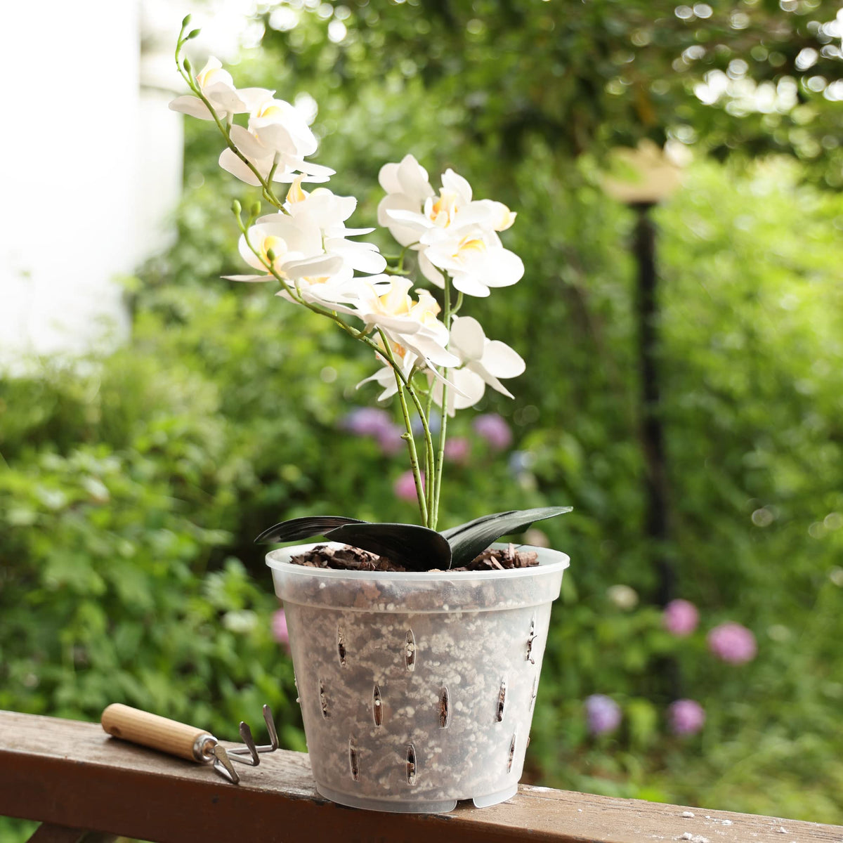 YIKUSH 10-pack orchid pots for multiple plants and easy repotting.