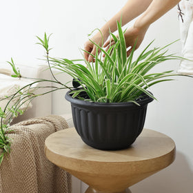 YIKUSH indoor-outdoor planter suits patios, kitchens, living rooms, and windowsills.