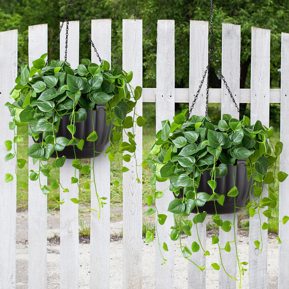YIKUSH minimalist black planter adds modern elegance to any plant.