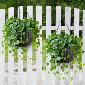YIKUSH minimalist black planter adds modern elegance to any plant.