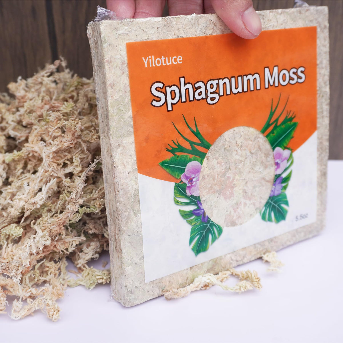 Yilotuce sphagnum moss after soaking expands to fluffy texture for planting