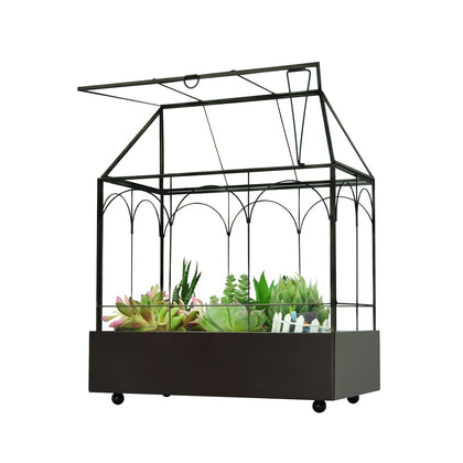 YIMORENCE V large tall glass terrarium centerpiece for indoor greenery