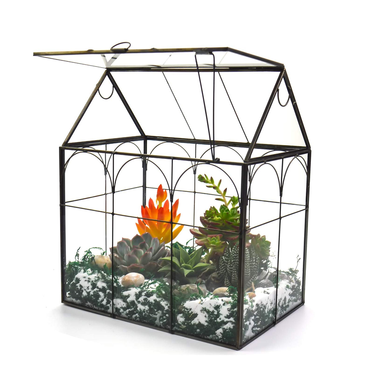 Yimorence large tall glass terrarium with lid front view showcases succulents