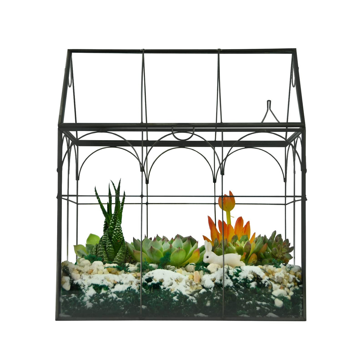 Yimorence terrarium close-up glass detail and sturdy frame