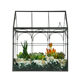 Yimorence terrarium close-up glass detail and sturdy frame