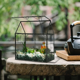 Yimorence large tall glass terrarium interior view displaying plants