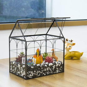 Yimorence terrarium with lid top door open for easy plant access